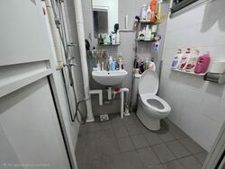 Blk 557 Cheng San Place (Ang Mo Kio), HDB 3 Rooms #574567531